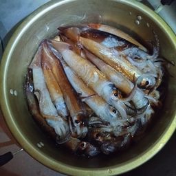 イカ