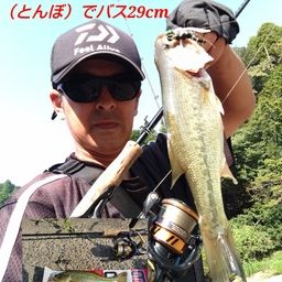 ブラックバス