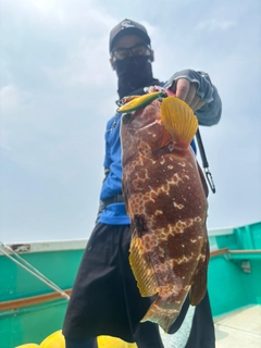 キジハタの釣果