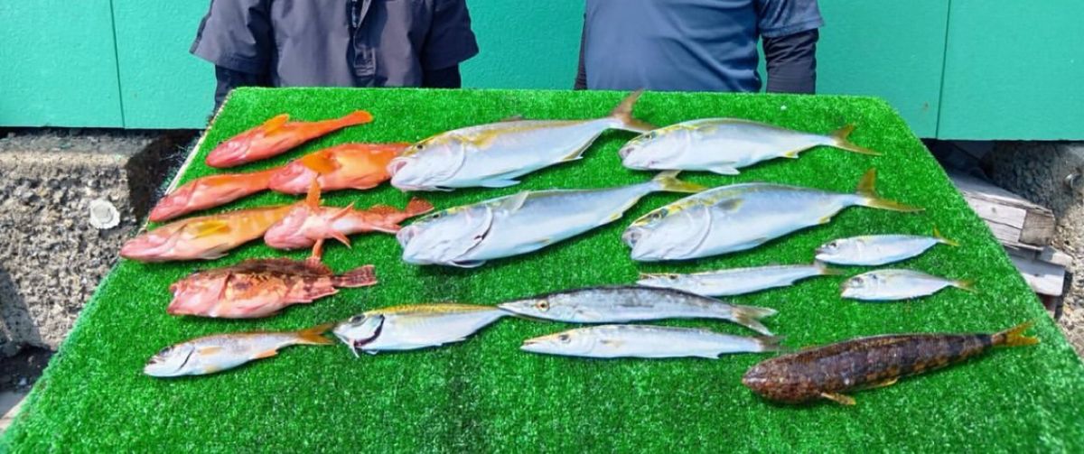 yatoshimo88さんの釣果 1枚目の画像