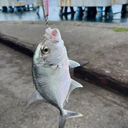 メッキ