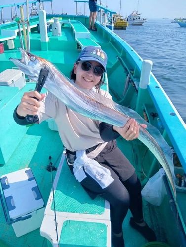 タチウオの釣果