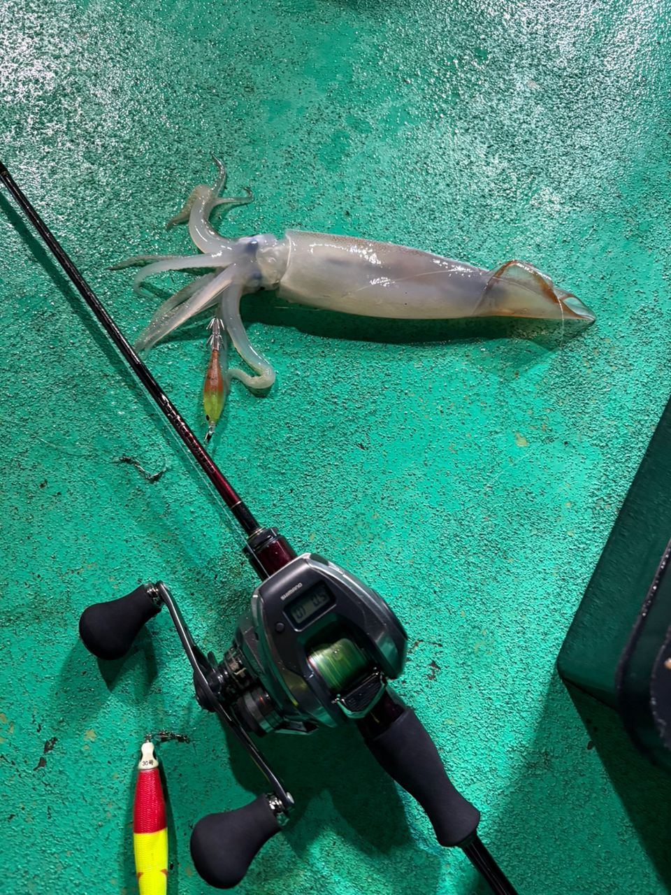 まにりさんの釣果 1枚目の画像