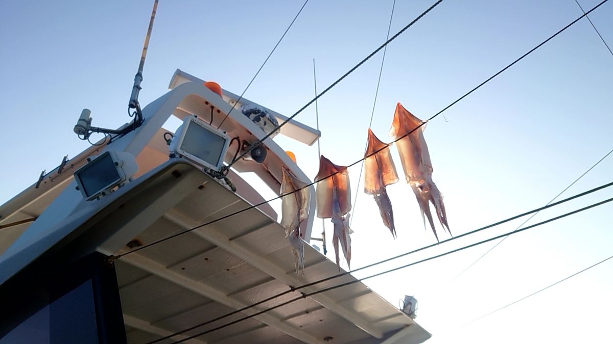 遼。。さんの釣果 2枚目の画像