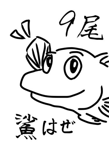 ハゼの釣果