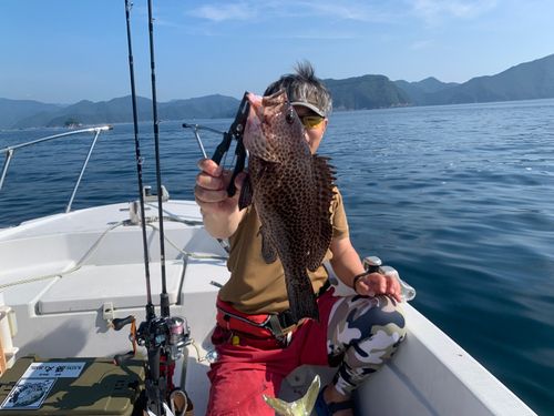 オオモンハタの釣果