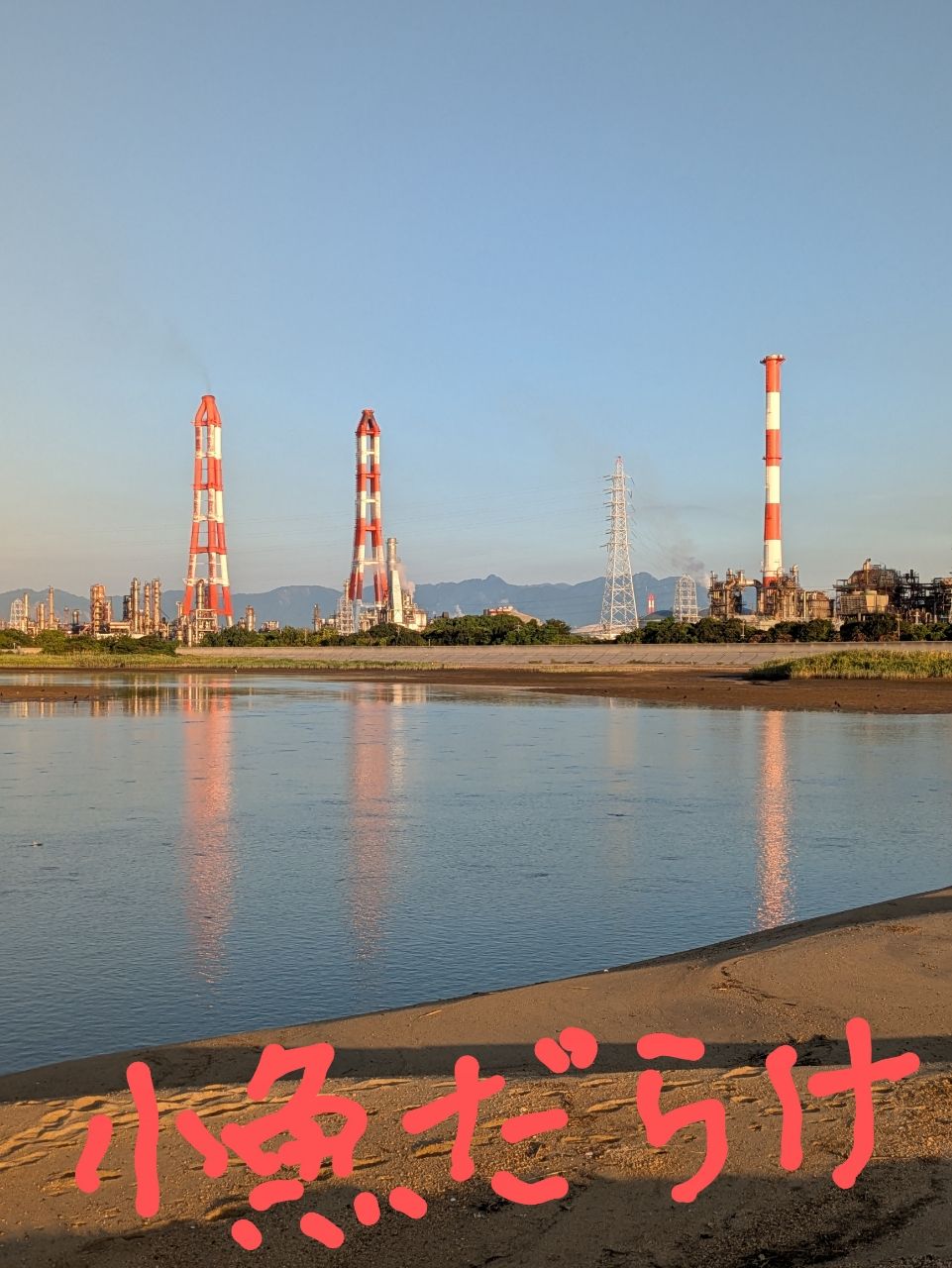 ハゼ