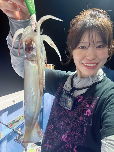 イカの釣果