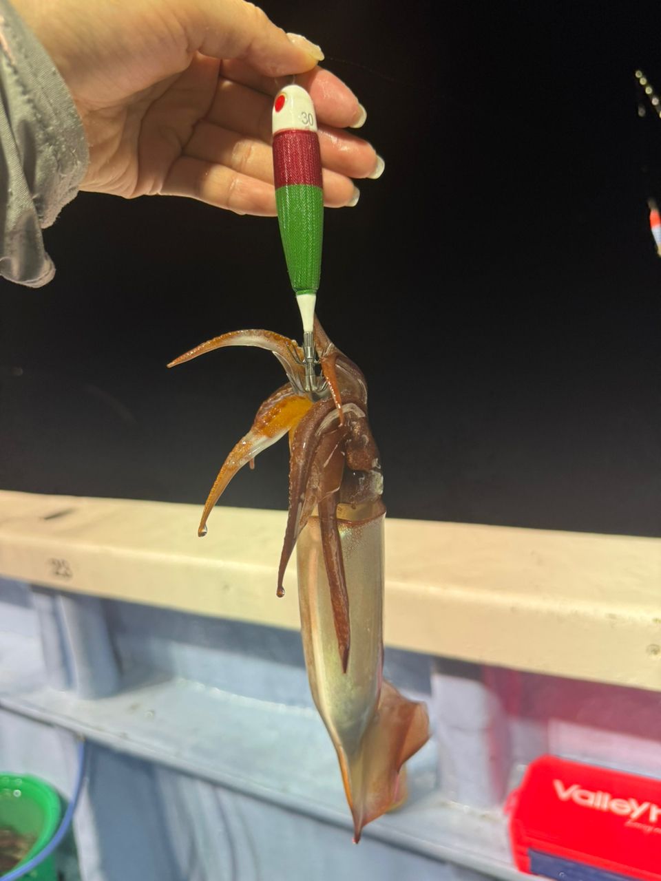 めぐまいさんの釣果 3枚目の画像