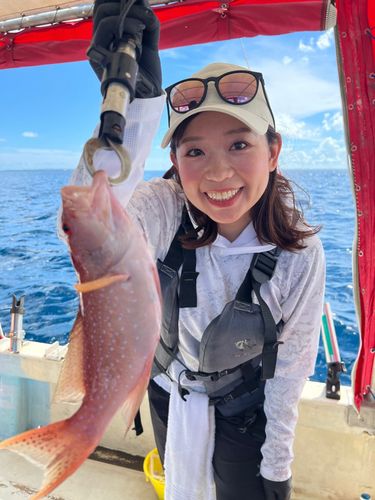 アカジンミーバイの釣果