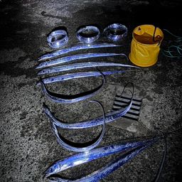 タチウオ