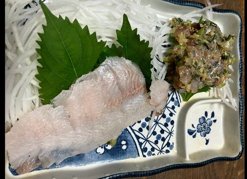 タカノハダイの釣果