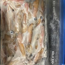 ヒイカ