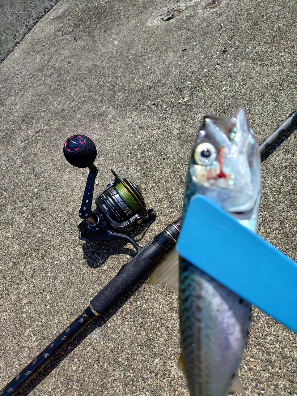 AbuGarcia クロスフィールド XRFS-962Mの最安値・インプレ・釣果