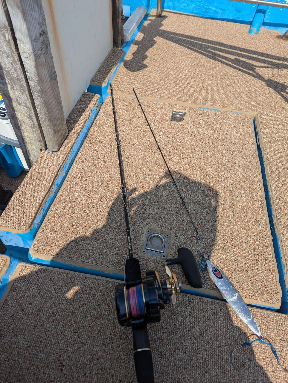 y.mtさんの釣果 3枚目の画像