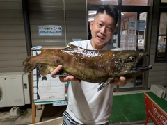 サクラマスの釣果