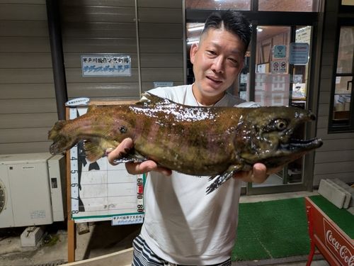 サクラマスの釣果