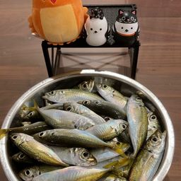 アジ