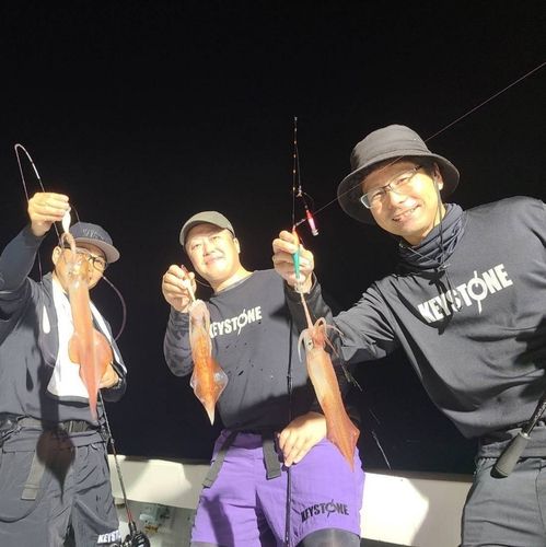 ケンサキイカの釣果