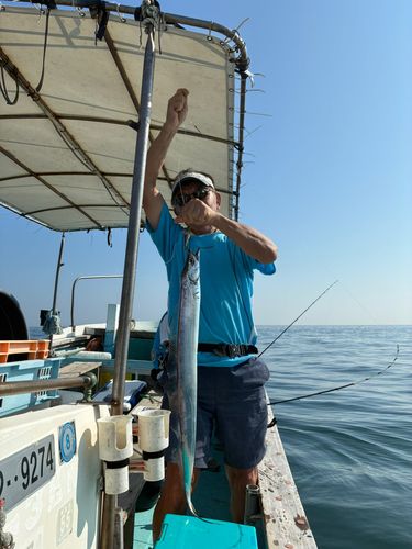 タチウオの釣果