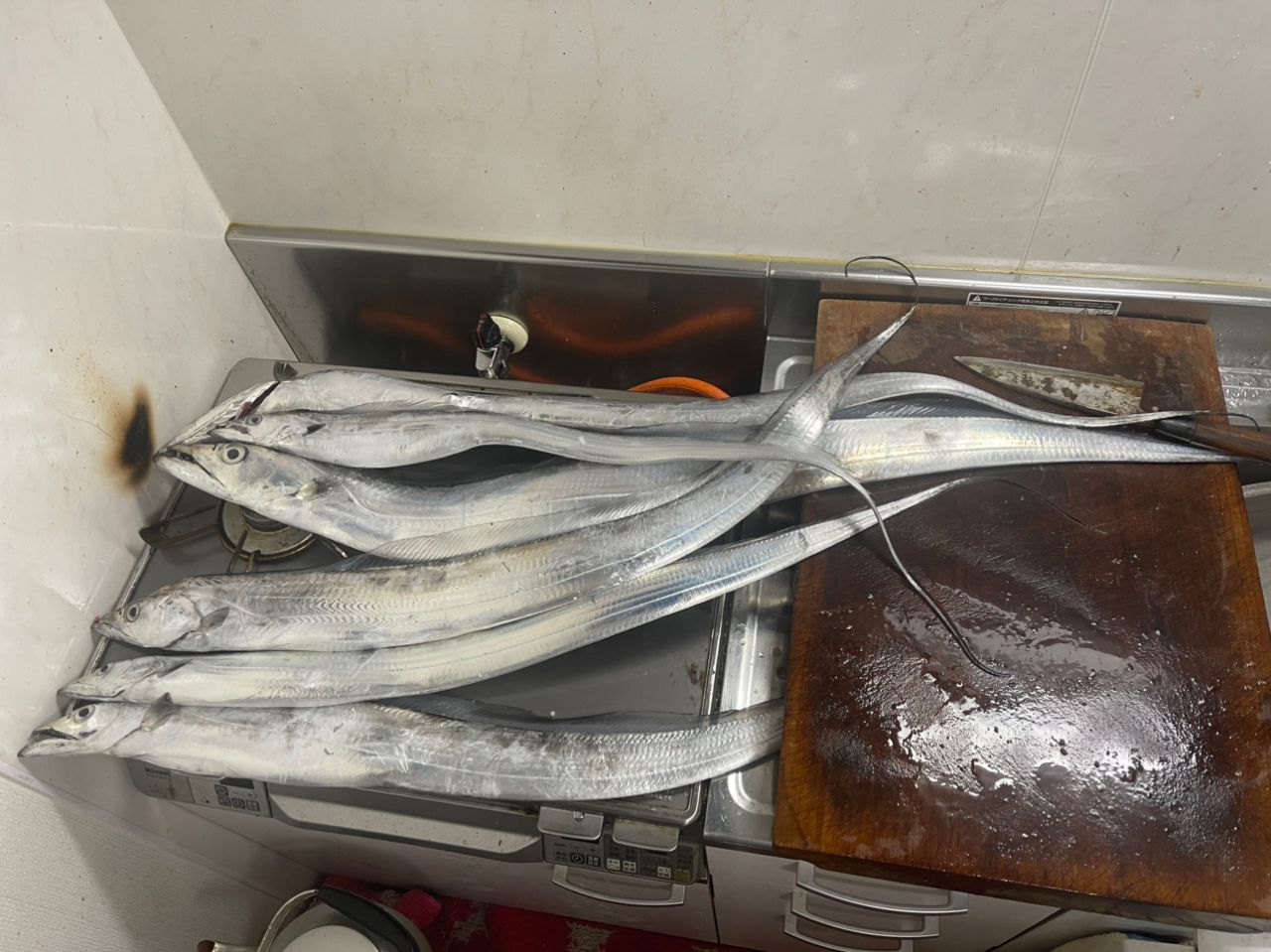 タチウオ