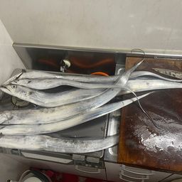 タチウオ