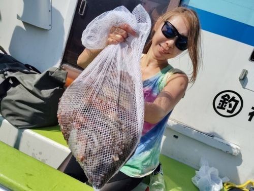 マダコの釣果