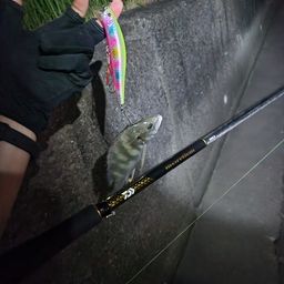 キビレ