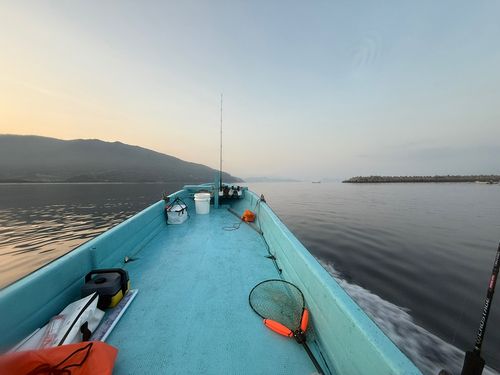 オオモンハタの釣果