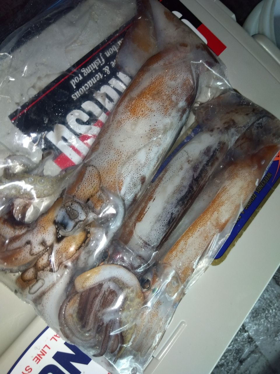 てぃちゃんさんの釣果 2枚目の画像