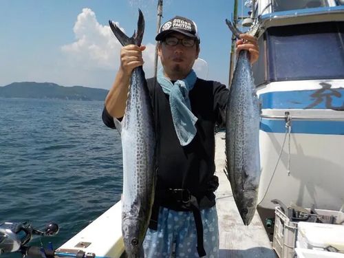 サワラの釣果