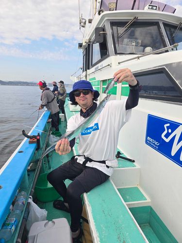 タチウオの釣果