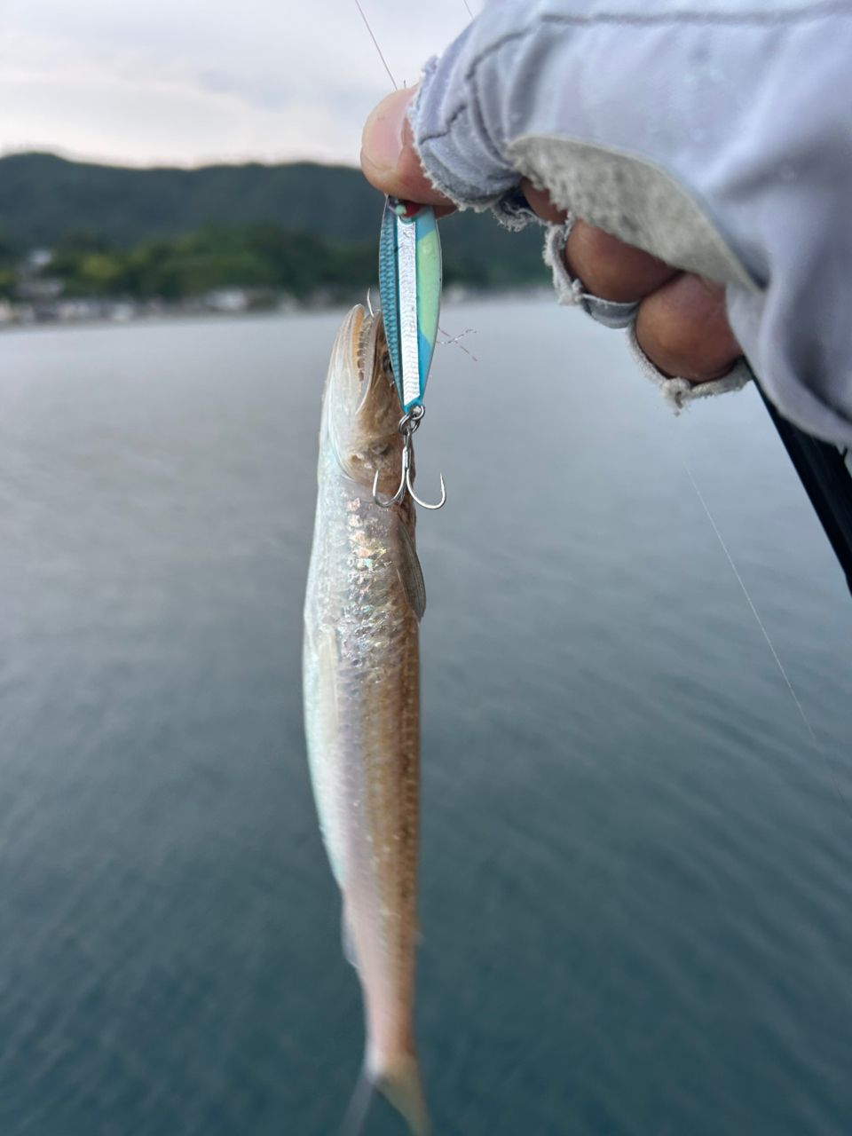 チャリコ