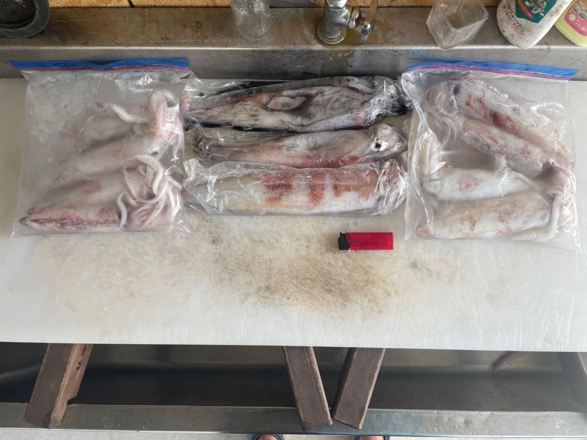 福岡のポンコツ釣り師さんの釣果 1枚目の画像