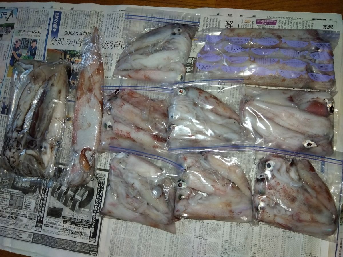 てぃちゃんさんの釣果 3枚目の画像