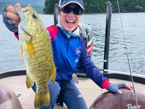 スモールマウスバスの釣果