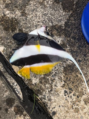 釣果