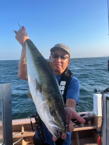 ブリの釣果