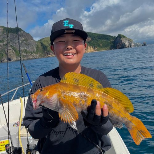 アブラコの釣果