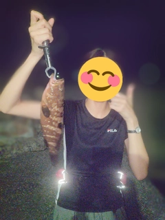 アコウの釣果
