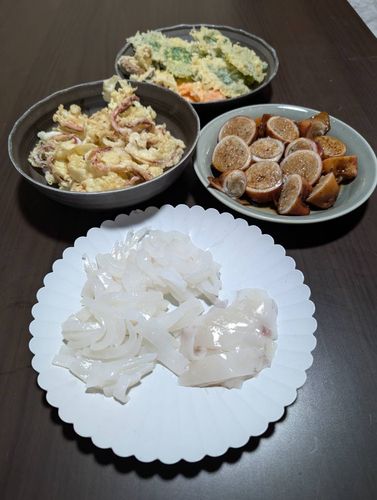 イカの釣果