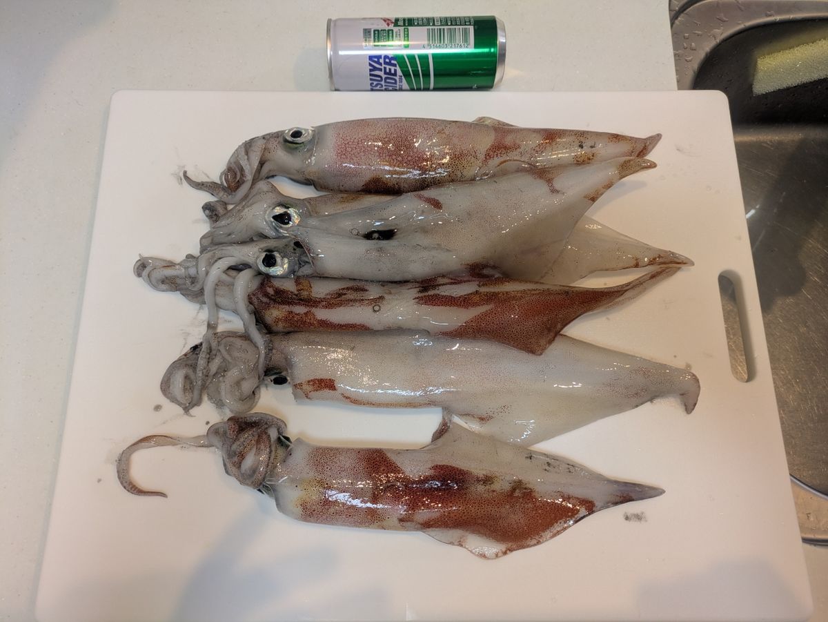 ひら政さんの釣果 1枚目の画像