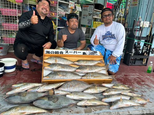タマンの釣果