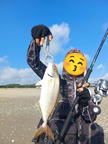 ショゴの釣果