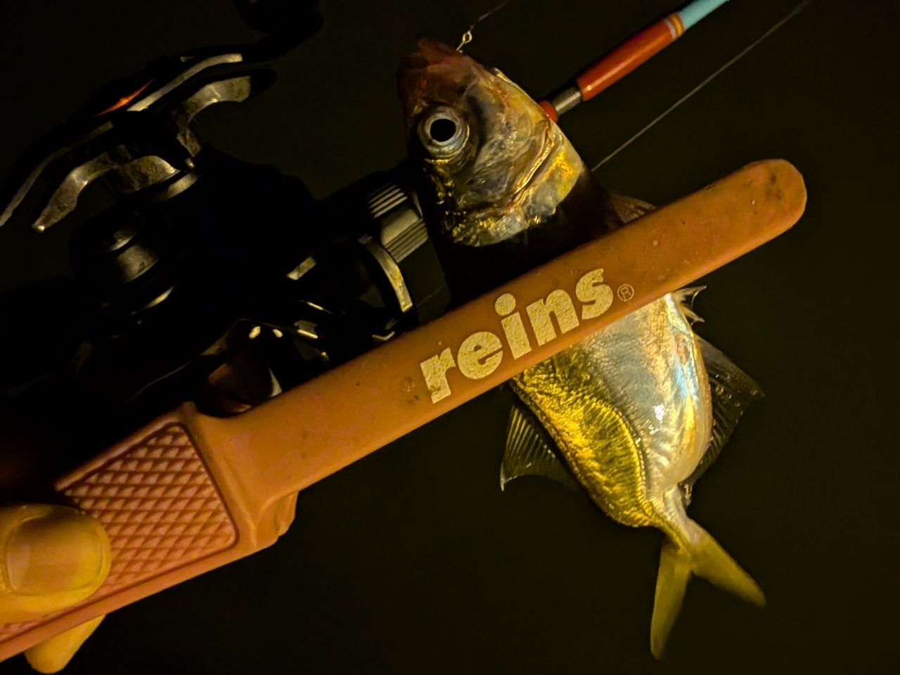 TULALA 22トリュテ Clerus411ULの最安値・インプレ・釣果 | 本音