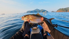 シオの釣果
