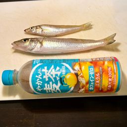 シロギス