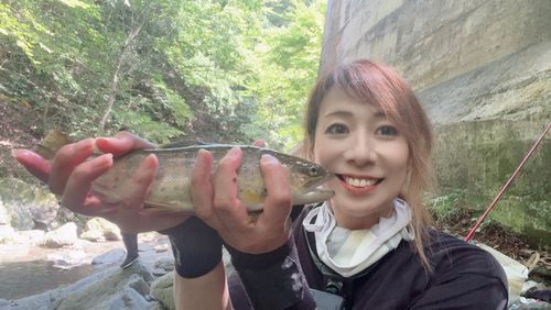 アマゴの釣果