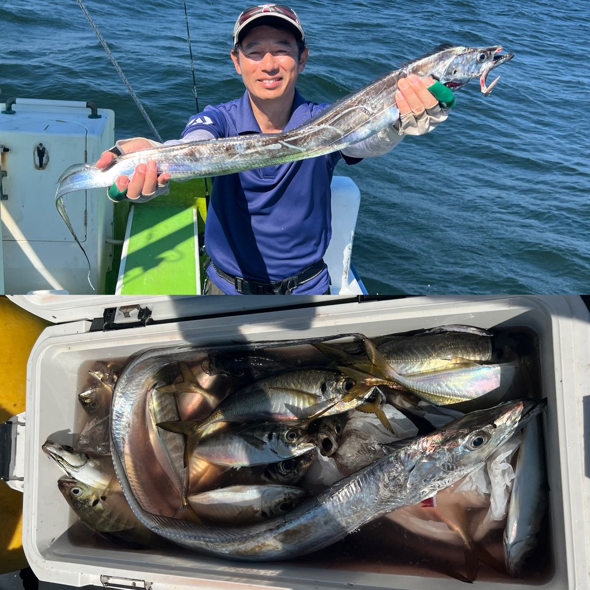 政信丸さんの釣果 3枚目の画像