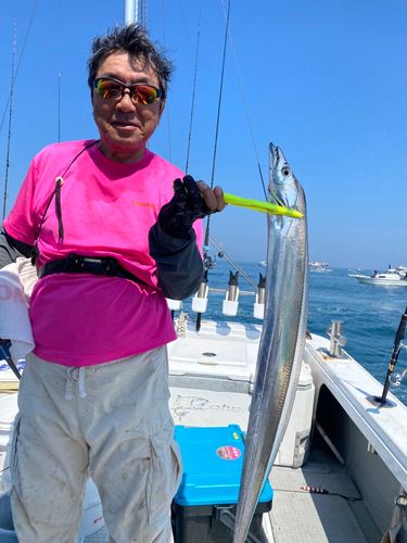 タチウオの釣果